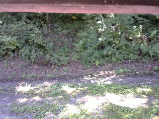 長野県菅平高原 ゆたか山荘 南側 2025/08/28 10:30