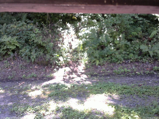 長野県菅平高原 ゆたか山荘 南側 2025/08/28 10:45