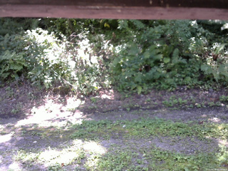 長野県菅平高原 ゆたか山荘 南側 2025/08/28 11:00