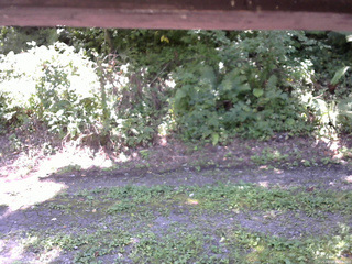 長野県菅平高原 ゆたか山荘 南側 2025/08/28 11:15