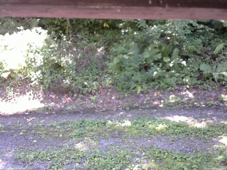 長野県菅平高原 ゆたか山荘 南側 2025/08/28 11:30