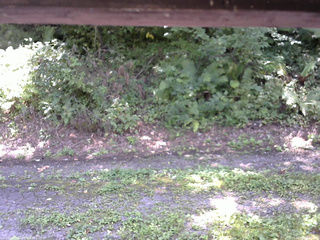 長野県菅平高原 ゆたか山荘 南側 2025/08/28 11:45