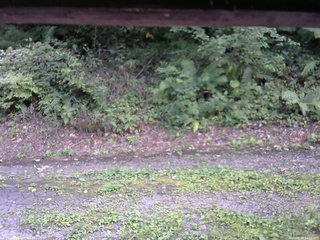 長野県菅平高原 ゆたか山荘 南側 2025/08/28 12:00