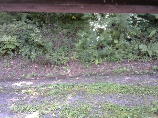 長野県菅平高原 ゆたか山荘 南側 2025/08/28 12:15