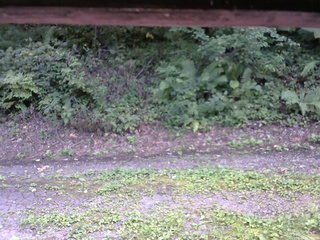 長野県菅平高原 ゆたか山荘 南側 2025/08/28 12:30