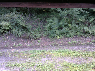 長野県菅平高原 ゆたか山荘 南側 2025/08/28 12:45