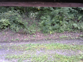 長野県菅平高原 ゆたか山荘 南側 2025/08/28 13:00