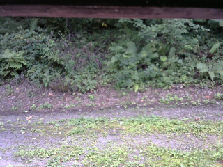 長野県菅平高原 ゆたか山荘 南側 2025/08/28 13:15