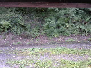 長野県菅平高原 ゆたか山荘 南側 2025/08/28 13:30