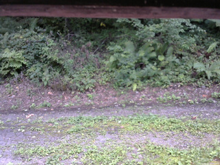 長野県菅平高原 ゆたか山荘 南側 2025/08/28 13:45