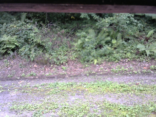 長野県菅平高原 ゆたか山荘 南側 2025/08/28 14:00