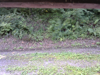 長野県菅平高原 ゆたか山荘 南側 2025/08/28 14:15