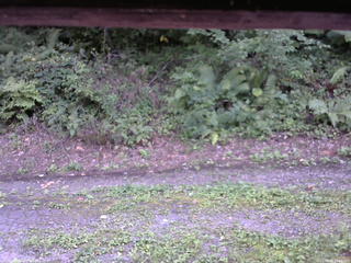 長野県菅平高原 ゆたか山荘 南側 2025/08/28 14:30