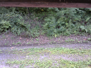 長野県菅平高原 ゆたか山荘 南側 2025/08/28 14:45