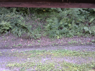 長野県菅平高原 ゆたか山荘 南側 2025/08/28 15:00