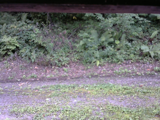 長野県菅平高原 ゆたか山荘 南側 2025/08/28 15:15