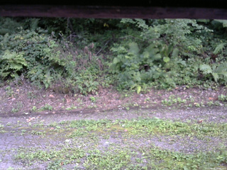 長野県菅平高原 ゆたか山荘 南側 2025/08/28 15:45