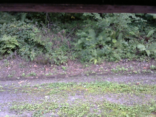 長野県菅平高原 ゆたか山荘 南側 2025/08/28 16:30