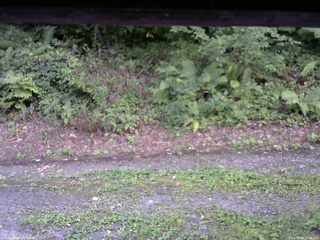 長野県菅平高原 ゆたか山荘 南側 2025/08/28 17:30