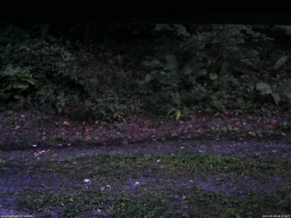 長野県菅平高原 ゆたか山荘 南側 2025/08/28 18:30