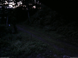 長野県菅平高原 ゆたか山荘 東側(坂下) 2025/08/28 05:00