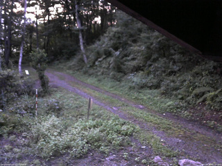 長野県菅平高原 ゆたか山荘 東側(坂下) 2025/08/28 05:15