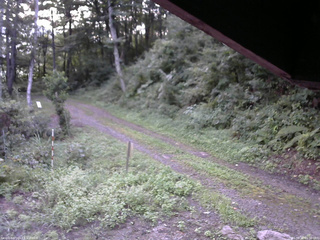 長野県菅平高原 ゆたか山荘 東側(坂下) 2025/08/28 05:30