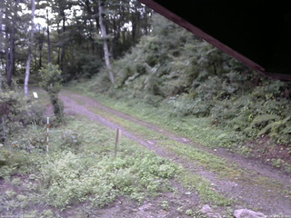 長野県菅平高原 ゆたか山荘 東側(坂下) 2025/08/28 05:45