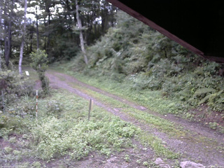 長野県菅平高原 ゆたか山荘 東側(坂下) 2025/08/28 06:30