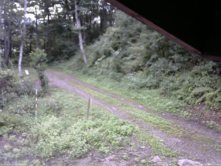 長野県菅平高原 ゆたか山荘 東側(坂下) 2025/08/28 07:00