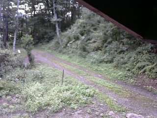 長野県菅平高原 ゆたか山荘 東側(坂下) 2025/08/28 07:15