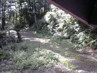 長野県菅平高原 ゆたか山荘 東側(坂下) 2025/08/28 07:45