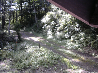 長野県菅平高原 ゆたか山荘 東側(坂下) 2025/08/28 08:00