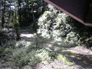 長野県菅平高原 ゆたか山荘 東側(坂下) 2025/08/28 08:15