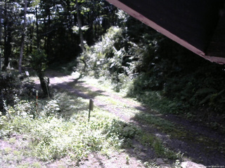 長野県菅平高原 ゆたか山荘 東側(坂下) 2025/08/28 09:00