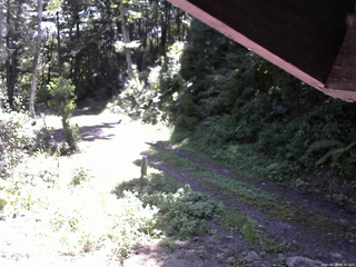長野県菅平高原 ゆたか山荘 東側(坂下) 2025/08/28 09:45