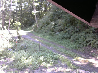 長野県菅平高原 ゆたか山荘 東側(坂下) 2025/08/28 11:30