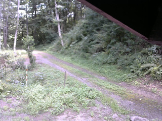 長野県菅平高原 ゆたか山荘 東側(坂下) 2025/08/28 12:00