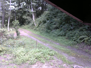 長野県菅平高原 ゆたか山荘 東側(坂下) 2025/08/28 12:45