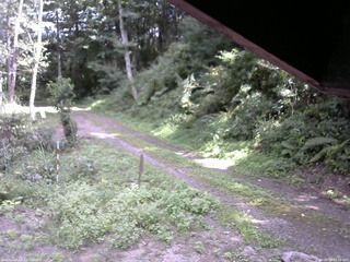 長野県菅平高原 ゆたか山荘 東側(坂下) 2025/08/28 13:00
