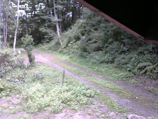 長野県菅平高原 ゆたか山荘 東側(坂下) 2025/08/28 13:15