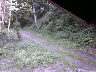 長野県菅平高原 ゆたか山荘 東側(坂下) 2025/08/28 14:30