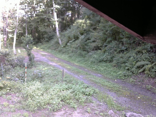 長野県菅平高原 ゆたか山荘 東側(坂下) 2025/08/28 15:00