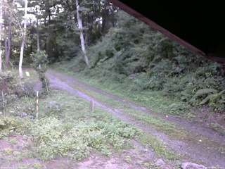 長野県菅平高原 ゆたか山荘 東側(坂下) 2025/08/28 15:15