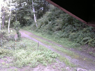 長野県菅平高原 ゆたか山荘 東側(坂下) 2025/08/28 15:30