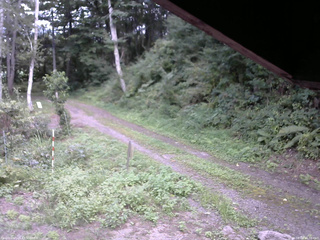 長野県菅平高原 ゆたか山荘 東側(坂下) 2025/08/28 16:30