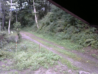 長野県菅平高原 ゆたか山荘 東側(坂下) 2025/08/28 17:00