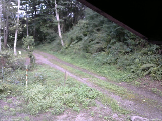 長野県菅平高原 ゆたか山荘 東側(坂下) 2025/08/28 17:15