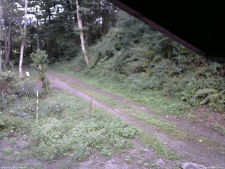 長野県菅平高原 ゆたか山荘 東側(坂下) 2025/08/28 17:30