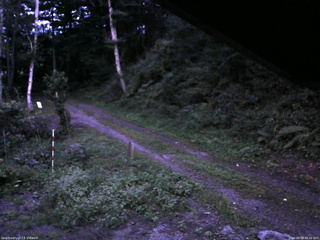 長野県菅平高原 ゆたか山荘 東側(坂下) 2025/08/28 18:30